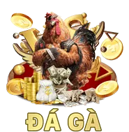 Ảnh đại diện người dùng Nguyễn Văn A